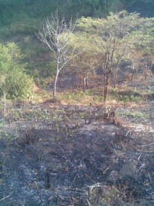 090901 Magagony area burned at border
