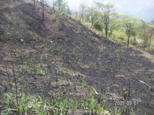 090907 Akasia burnt area about 414 M2