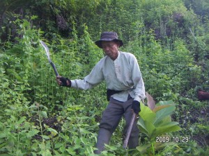 291009_big_Abah_clearing_grass_at_slope_area