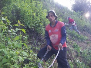 291009_big_Dni_and_Dede_P_clearing_grass_at_slope_area