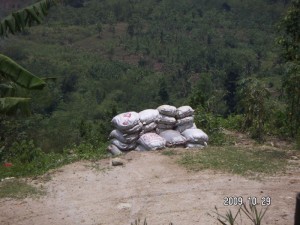 291009_big_Manure_for_Durian