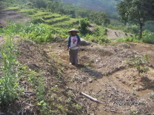 291009_big_Wife_of_Ajat_preparing_for_intercropping_at_Durian_area