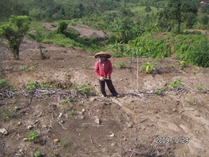 291009_big_Wife_of_Caci_preparing_for_intercropping_at_Durian_area